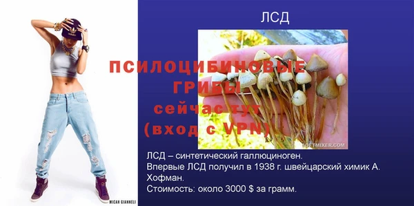 гашишное масло Богородицк