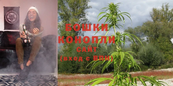 ALPHA PVP Богданович