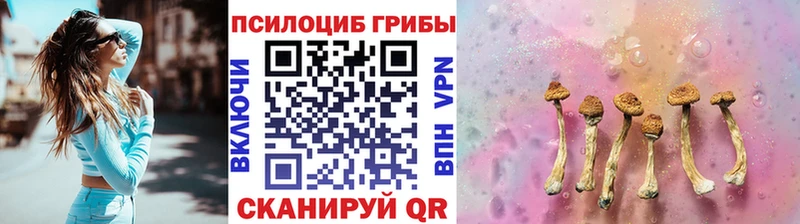 Купить где  Хвалынск  Псилоцибиновые грибы прущие грибы 