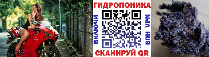 Купить где Хвалынск МАРИХУАНА планчик